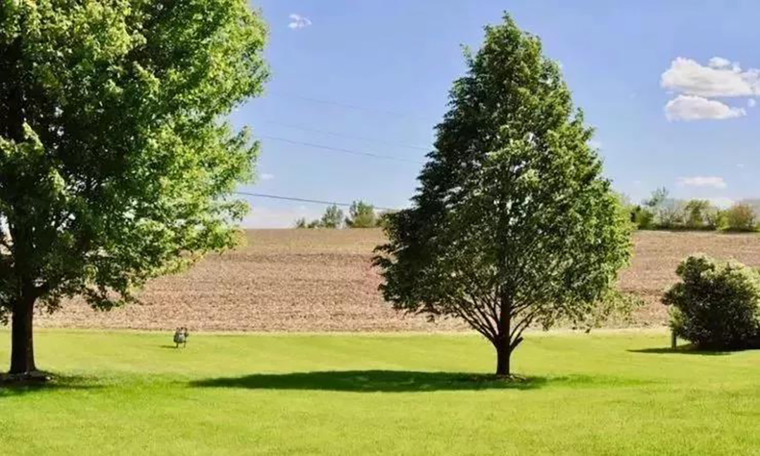 植樹節(jié)|守護(hù)綠色家園的秘密武器!